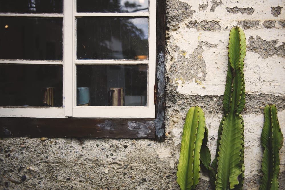 Housing Disrepair in Norwich