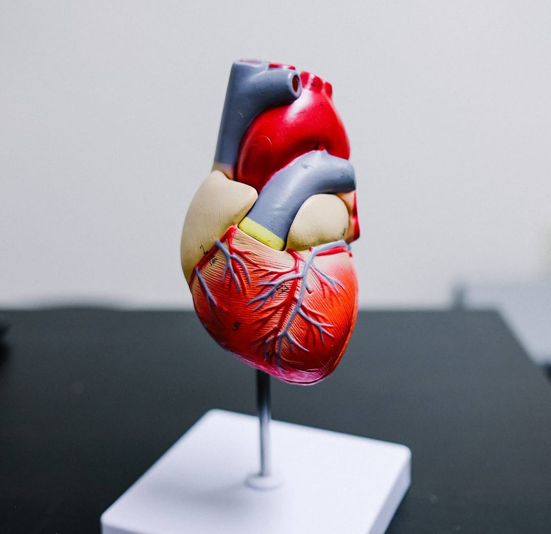 A 3d design of a heart