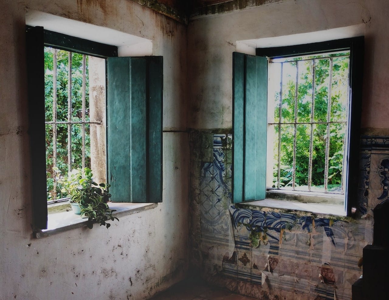 windows in an old house