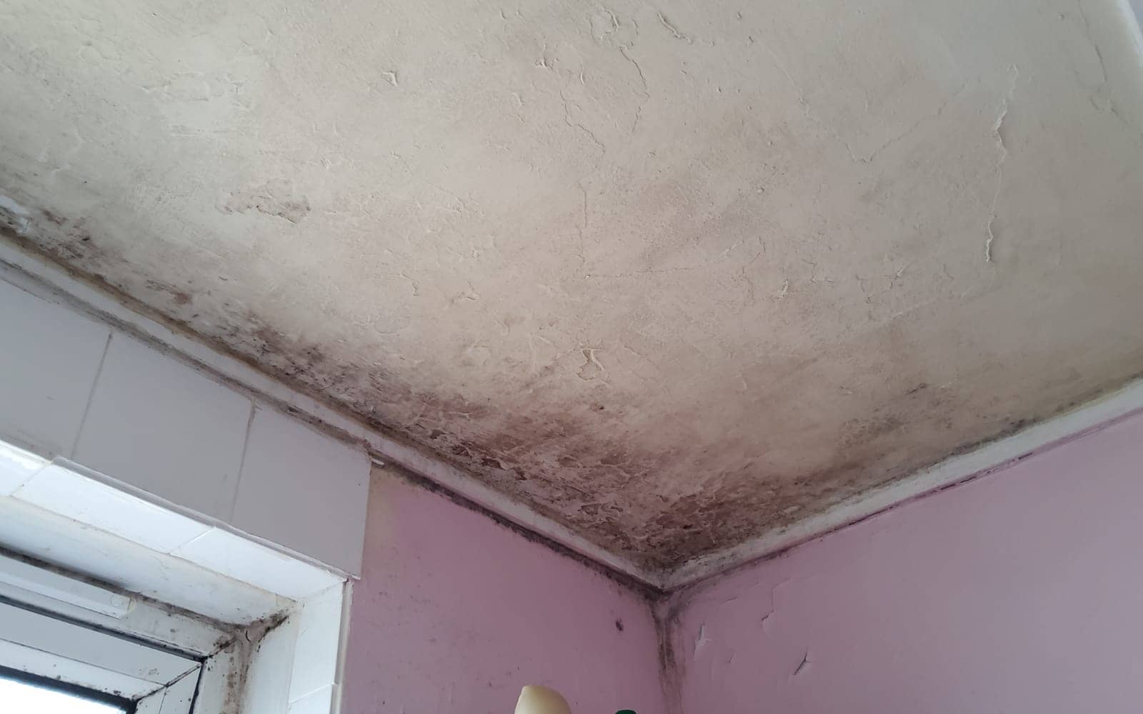 Black mould in the top corner of a room