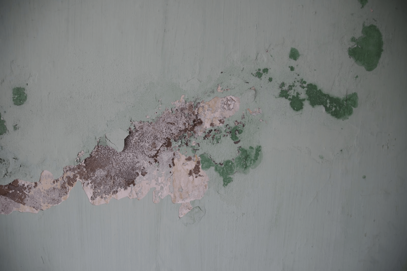 a mouldy green interior wall