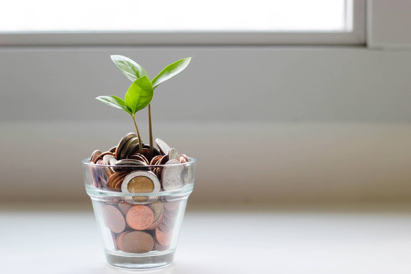 a glass of change with a plant growing