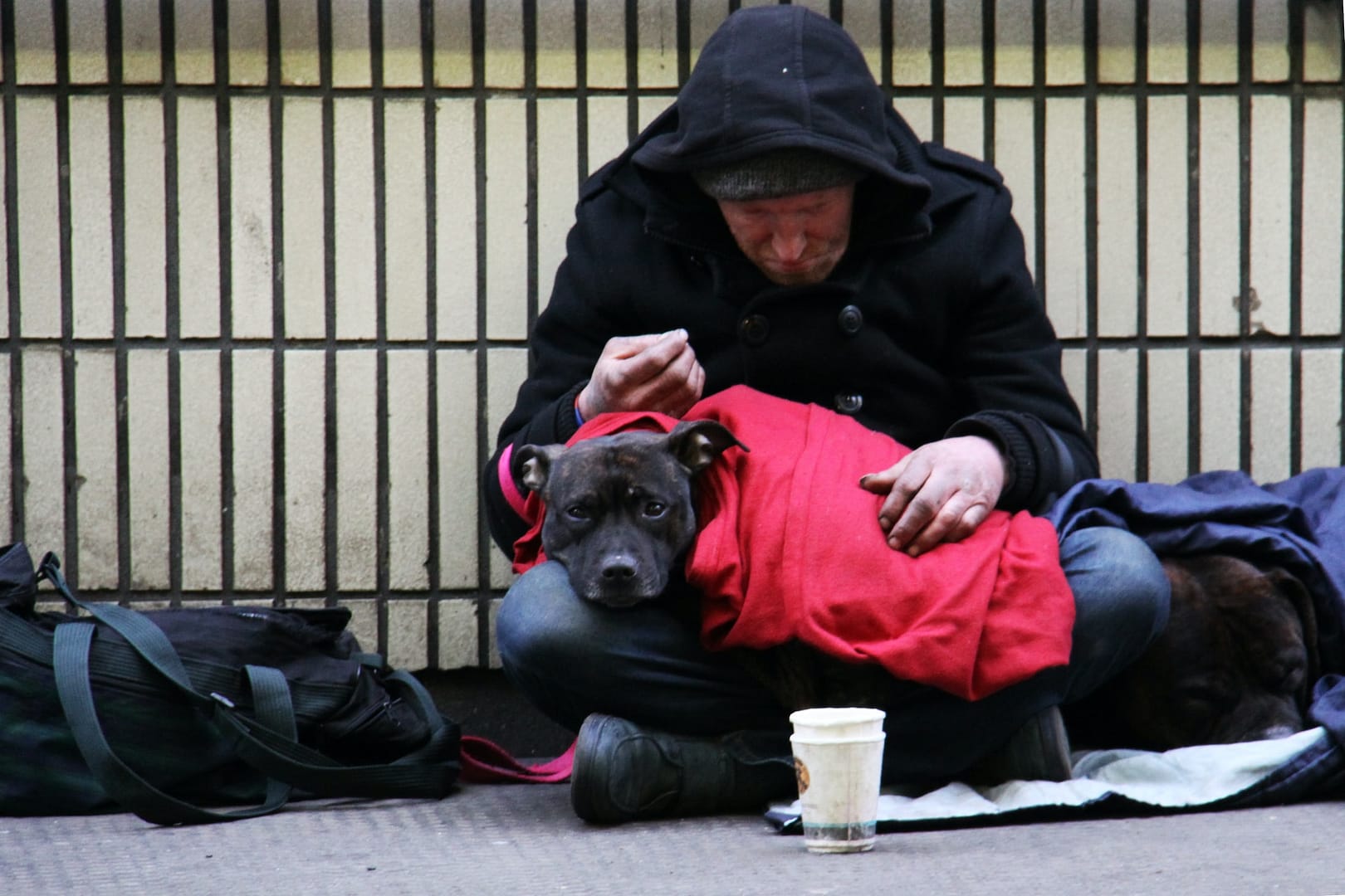 A homeless man with their dog