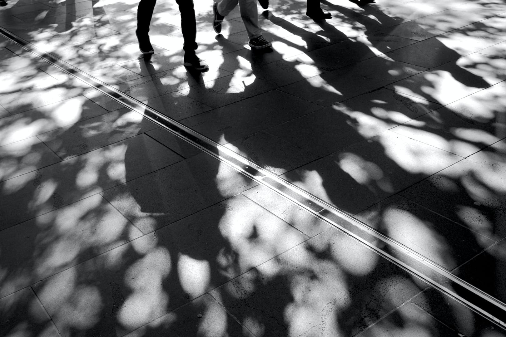 shadows of people walking in the street