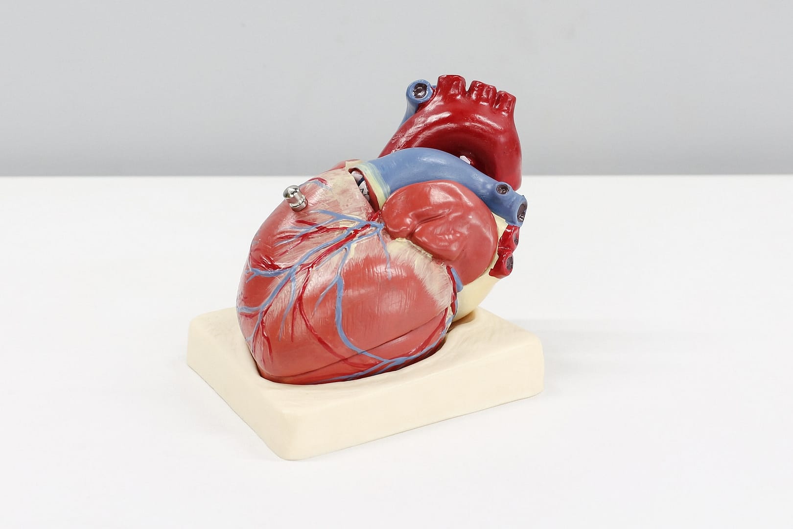 3D Design of heart