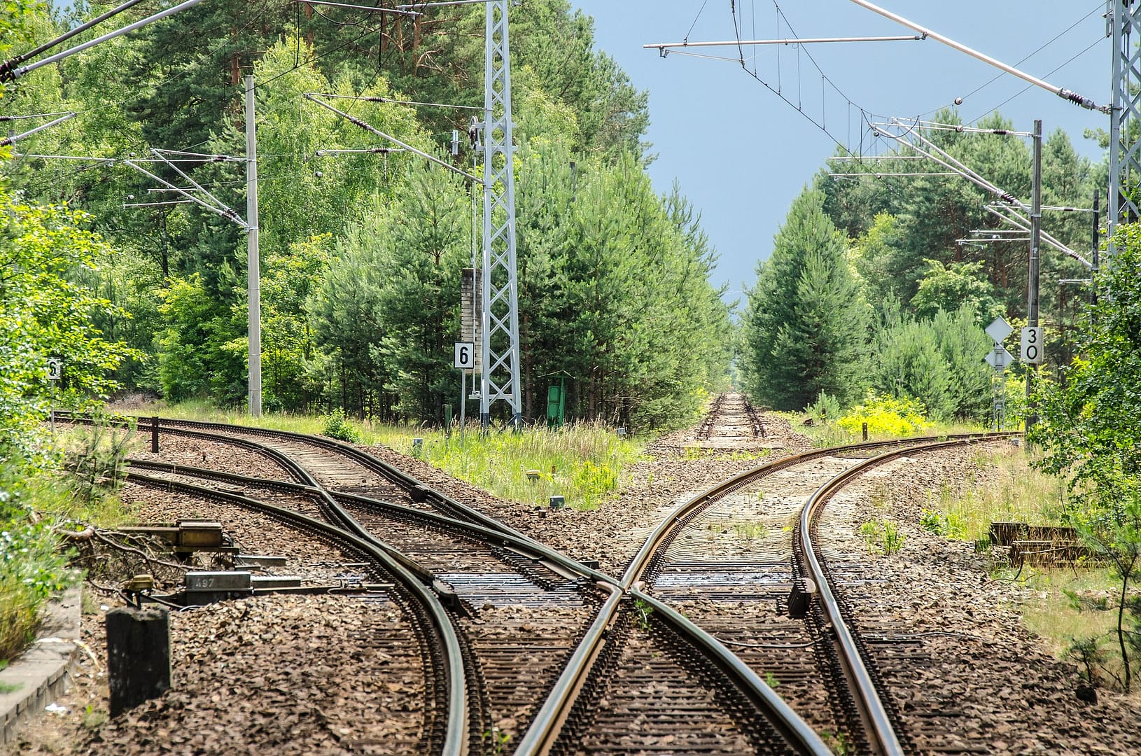 split train tracks surrounded by trees