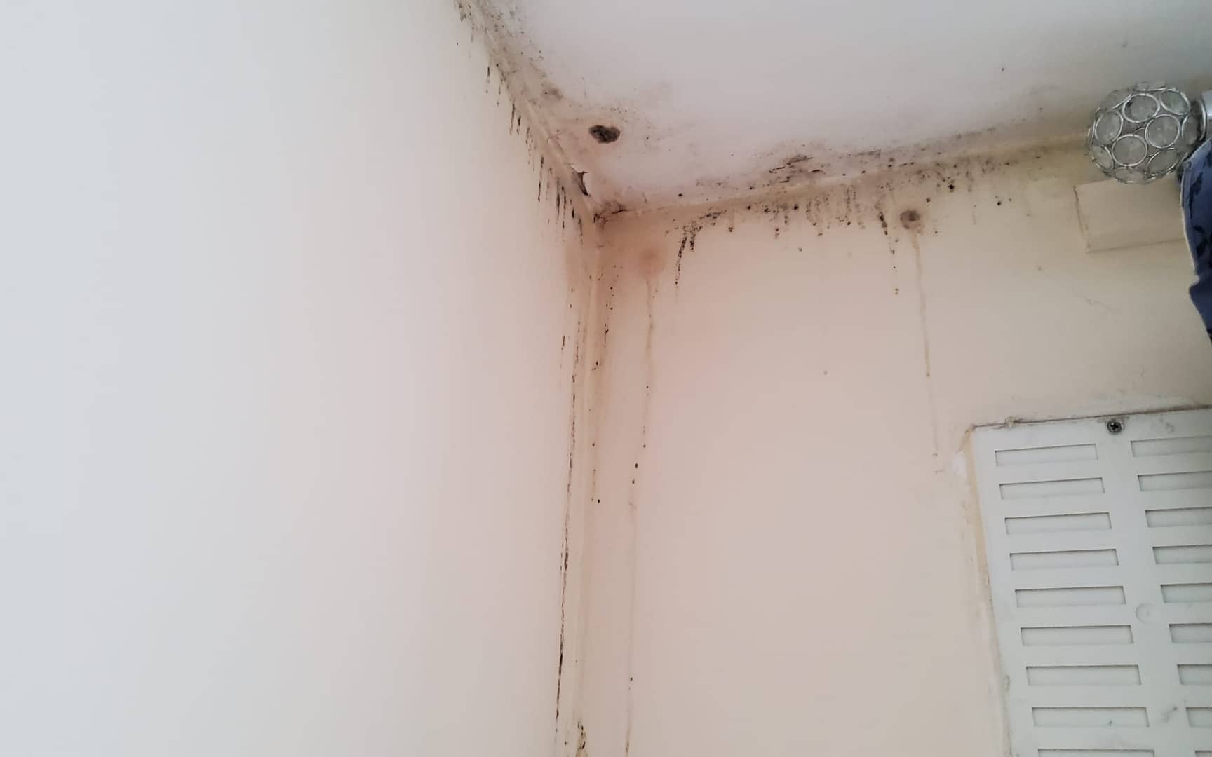 Corner of a room with a leak and black mould