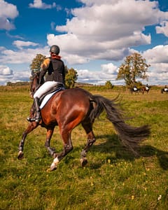 horse riding