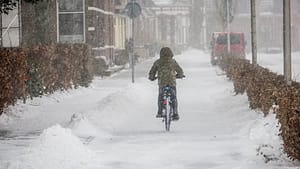 vulnerable road user
