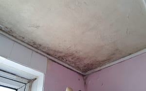 black mould in a corner of a room