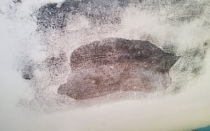 damp and mould on wall