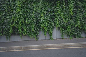 A path next to a main road