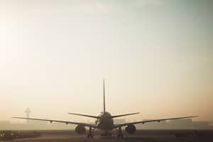 A plane on a runway