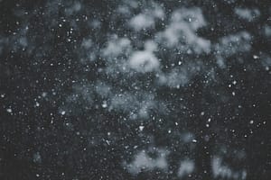 Snowfall