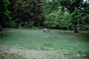 Someone sitting alone on a park bench