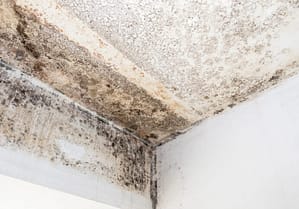 Asthma, Damp, and Mould in the uk