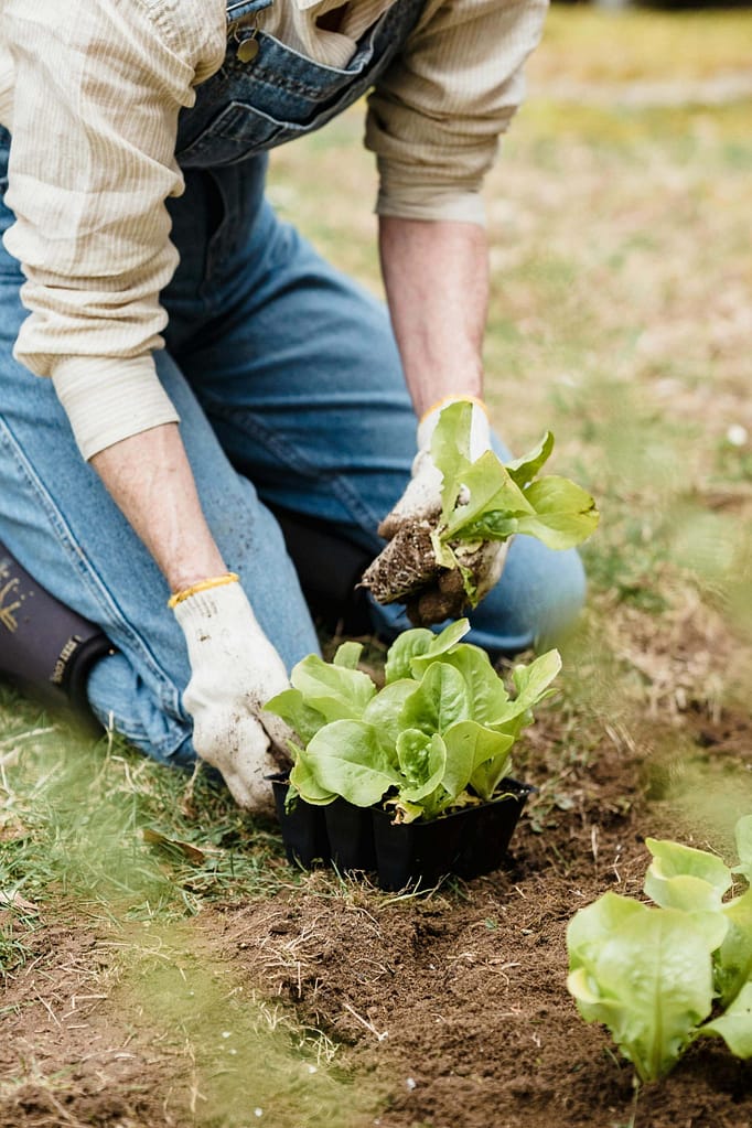 Seasonal Work