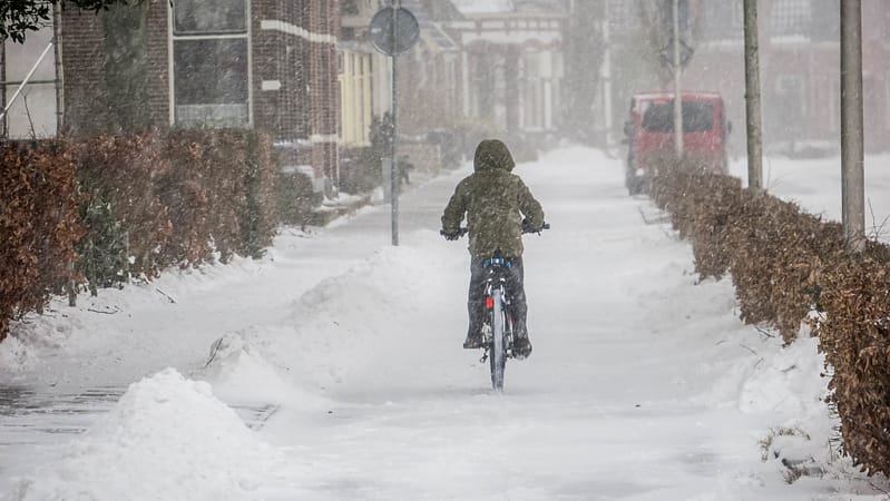 vulnerable road user
