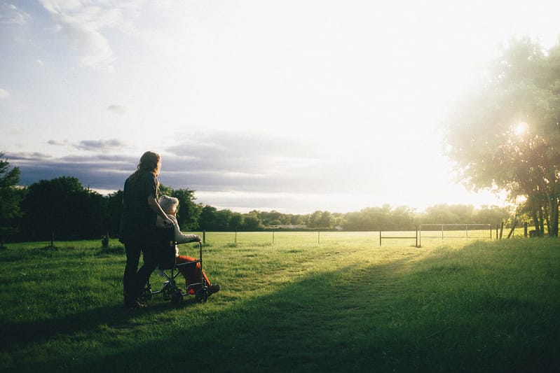 A carer with their patient in a wheelchair in a field