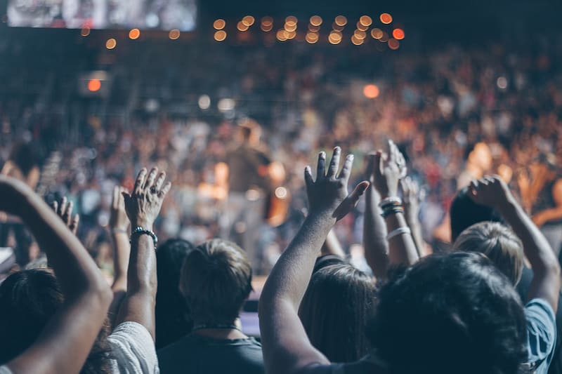 crowd of people at a concert