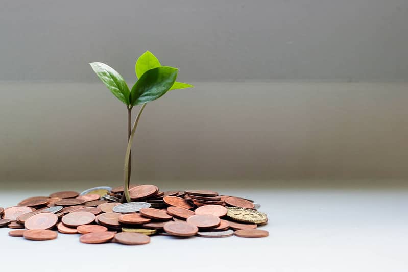 A plant growing out of coin