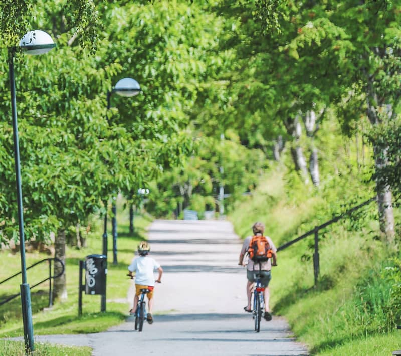 A parent and child riding their bikes